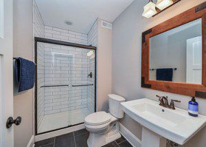Basement Hall Guest Bathroom Remodel Wheaton - Sebring Design Build
