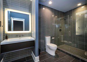 Basement Hall Guest Bathroom Remodel Naperville - Sebring Design Build