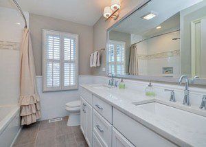 Hall Guest Bathroom Remodel Naperville - Sebring Design Build