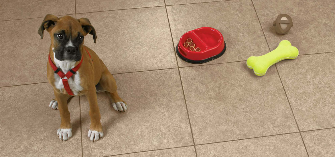 How to Choose the Best Flooring For Pets | Home Remodeling ...