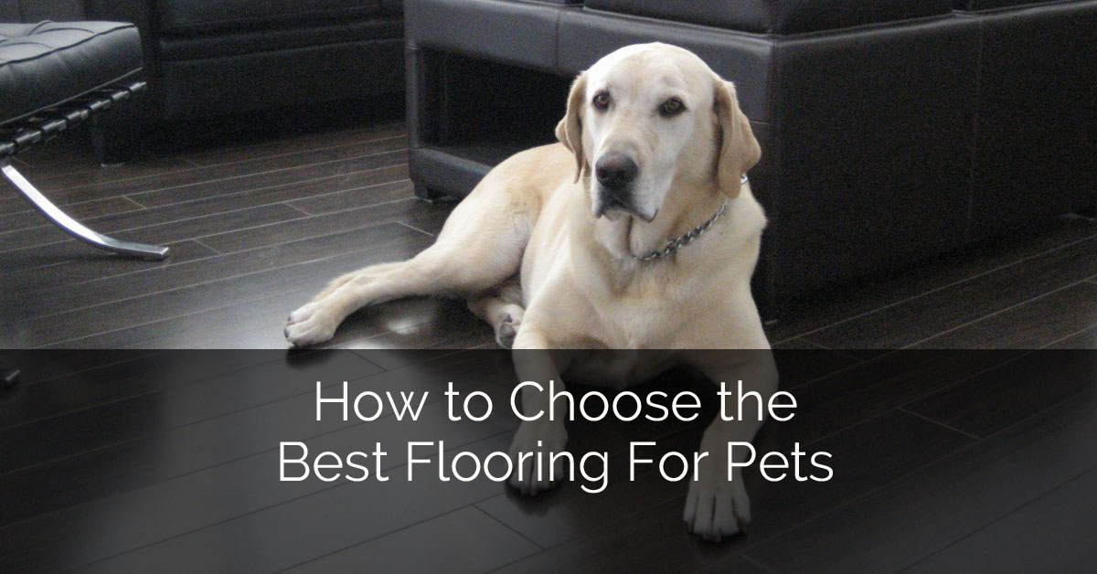 How To Choose The Best Flooring For Pets Home Remodeling