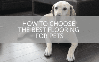 How to Choose the Best Flooring For Pets