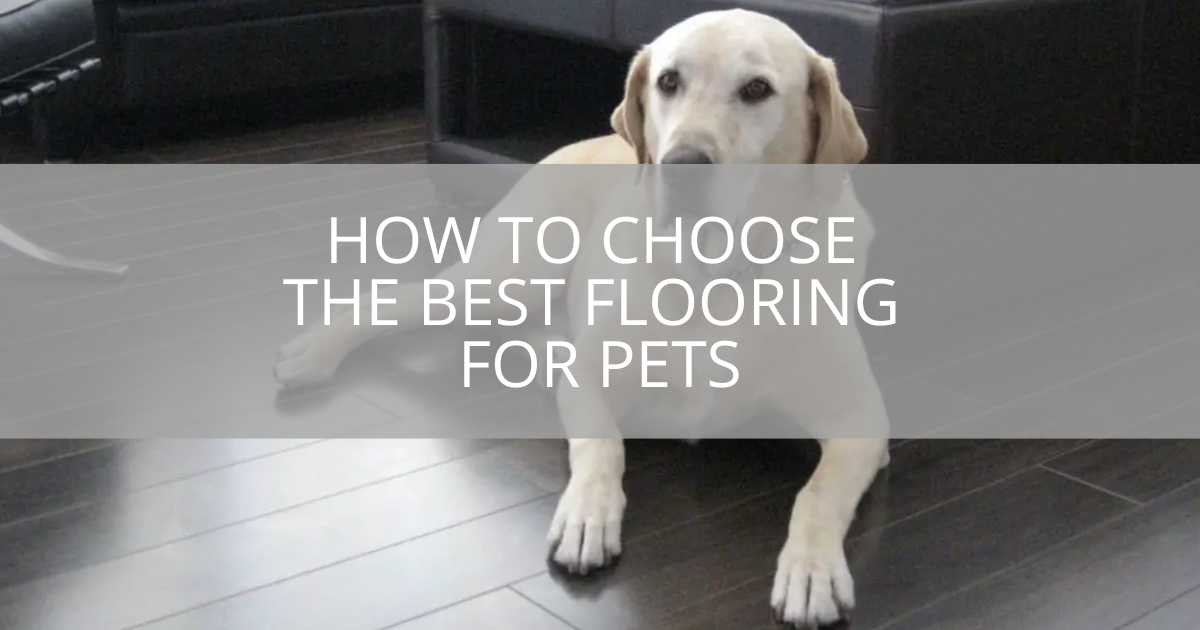 How to Choose the Best Flooring For Pets