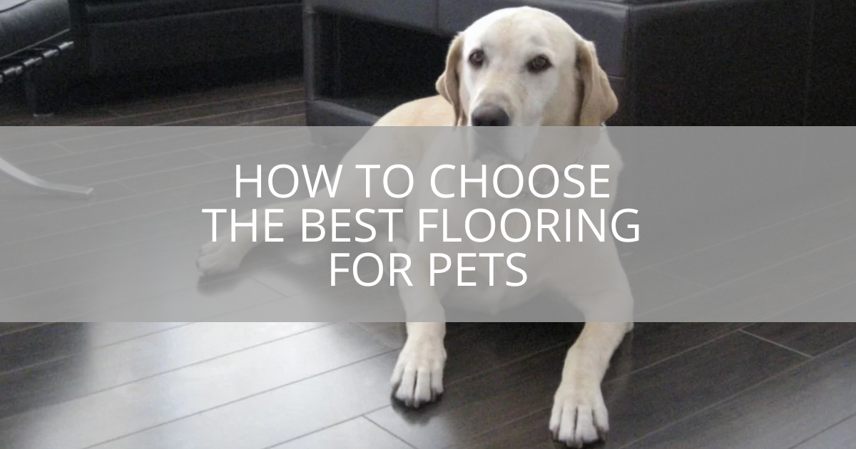 What Is The Best Flooring For Dog Pee