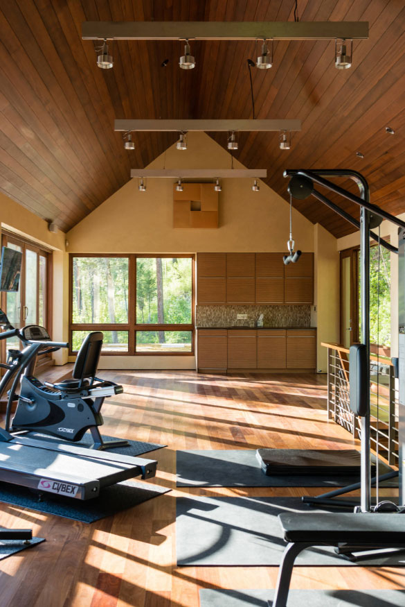 Extraordinary Home Gym Design Ideas - Sebring Design Build