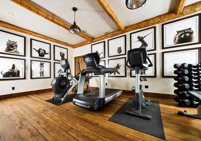 25 Extraordinary Basement Home Gym Design Ideas Sebring Design Build   Extraordinary Home Gym Design Ideas 63 Sebring Design Build 400x280 