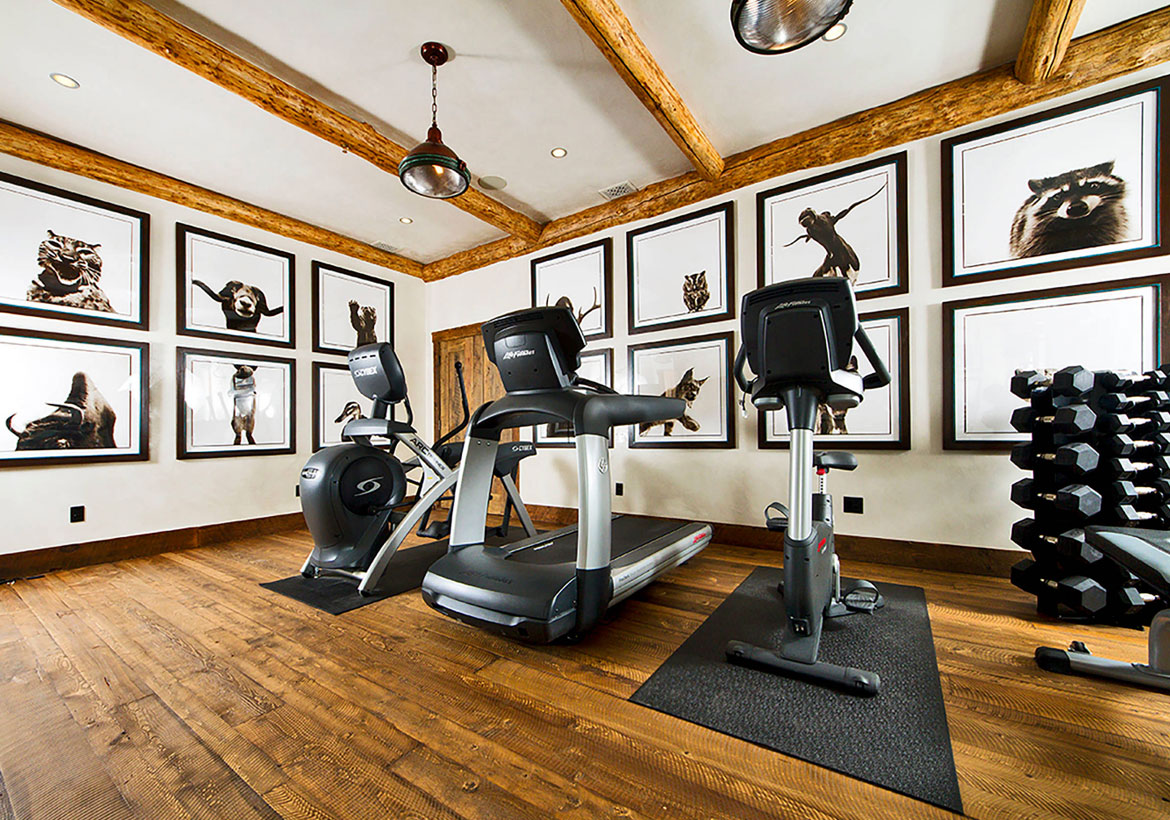 47 Extraordinary Basement Home Gym Design Ideas Luxury Home   Extraordinary Home Gym Design Ideas 63 Sebring Design Build 