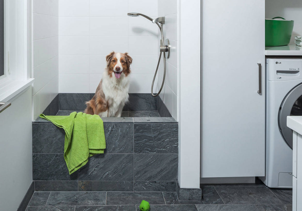 29 Sweet Dog Shower Ideas & Pet Washing Stations | Luxury Home ...