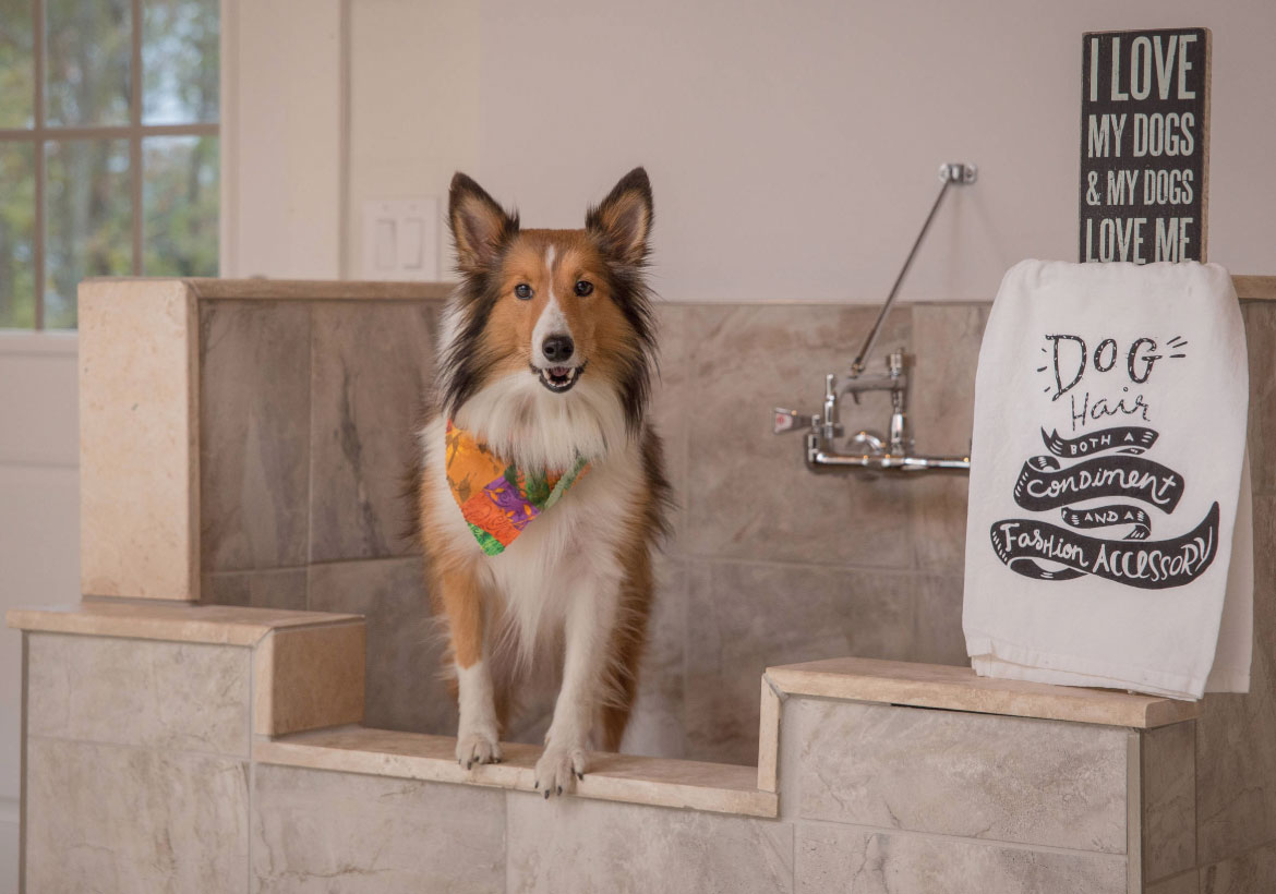 washing dog in shower