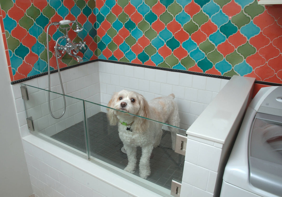 Outstanding Dog Shower Ideas & Pet Washing Stations - Sebring Design Build