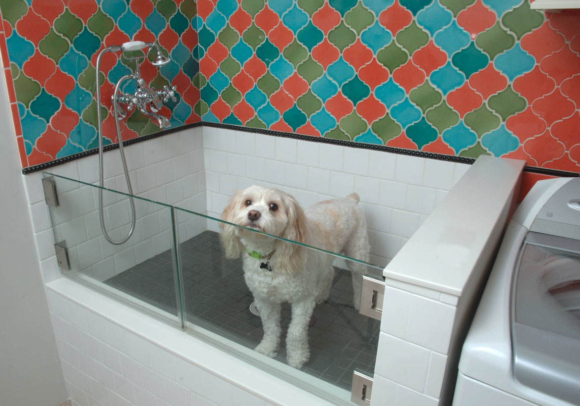 Pet hotsell wash enclosure