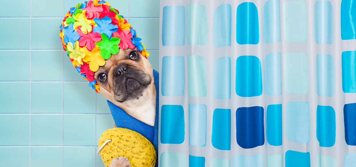 Sweet Dog Shower Ideas & Pet Washing Stations