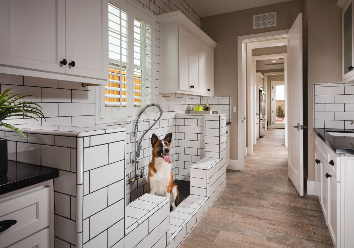 29 Sweet Dog Shower Ideas & Pet Washing Stations | Luxury Home ...