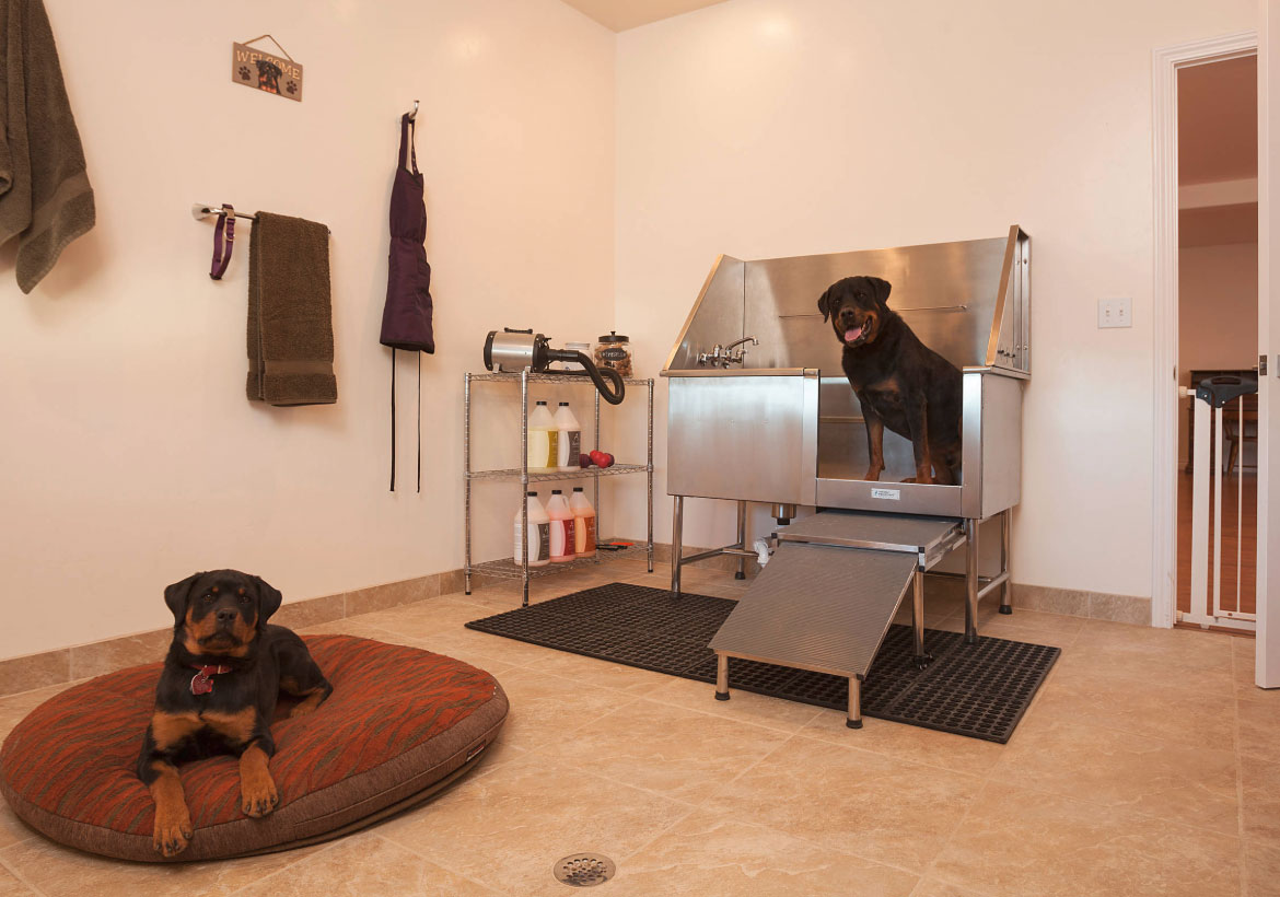 Sweet Dog Shower Ideas & Pet Washing Stations