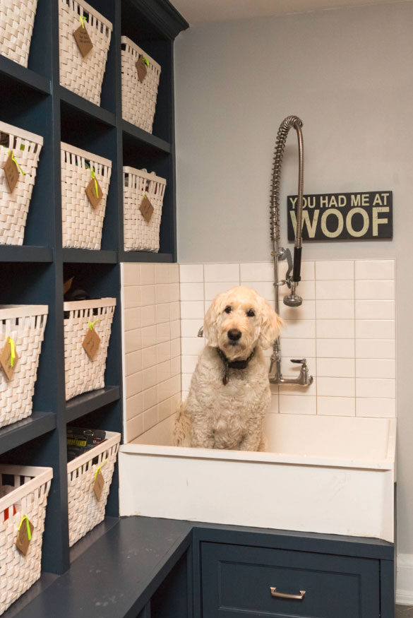 Sweet Dog Shower Ideas & Pet Washing Stations