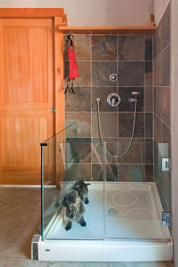 washing dog in shower