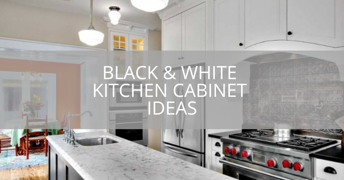 Black & White Kitchen Cabinet Ideas