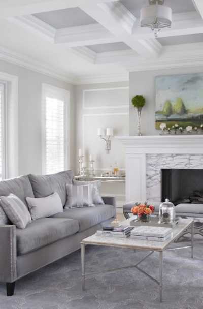 17 Gray Living Room Decor Ideas Sebring Design Build - Home Decor Ideas With Grey Sofa