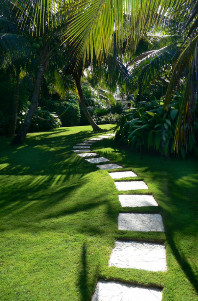 Backyard Walkway Landscaping Ideas