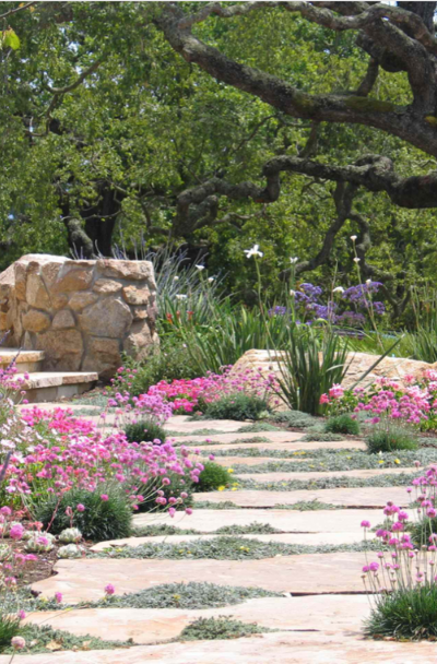 backyard-walkway-landscaping-ideas-sebring-design-build