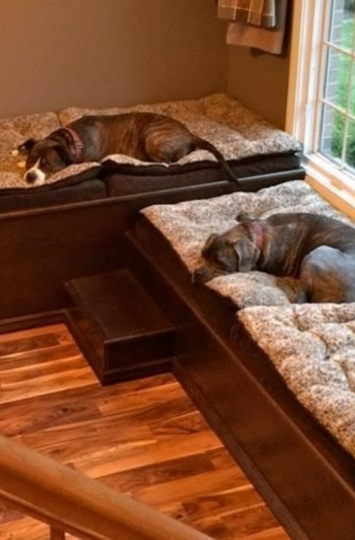 23 Dog Room Decor Ideas | Sebring Design Build