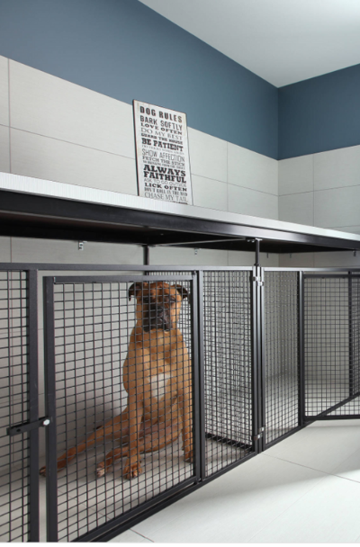 dog-kennel-room-decor-ideas-images-sebring-design-build