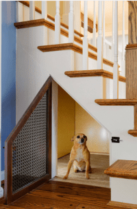 23 Dog Room Decor Ideas | Sebring Design Build