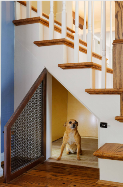 23-dog-room-decor-ideas-sebring-design-build