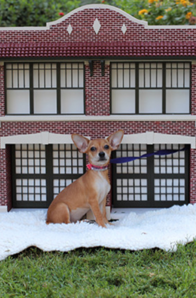 31 Custom Dog House Decor Ideas Sebring Design Build