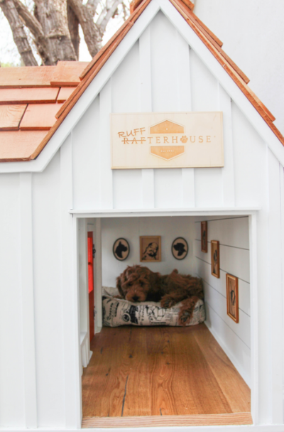 custom-dog-house-decor-ideas-sebring-design-build