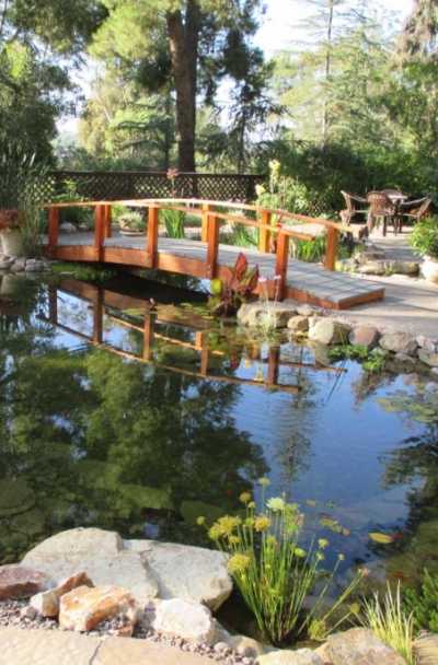 backyard-koi-fish-pond-design-ideas