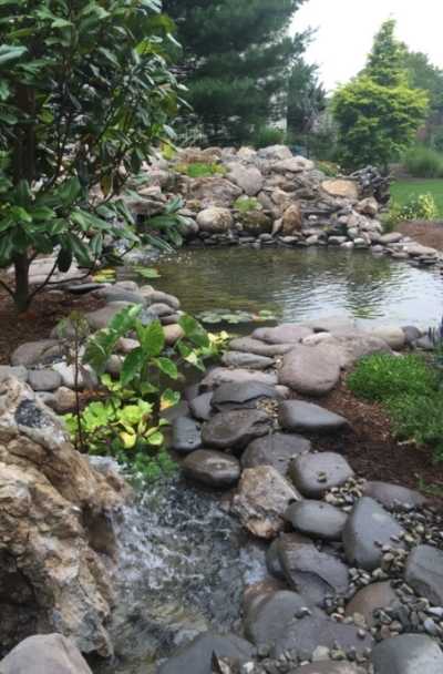 pond decorating ideas