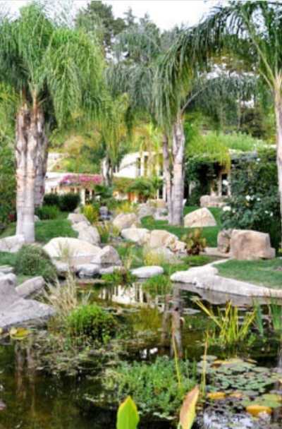 31 Backyard Pond Design Ideas Home Remodeling Contractors Sebring Design Build