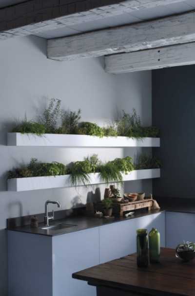 Indoor Living Wall Garden Ideas