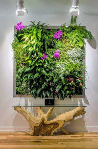 23 Indoor Living Wall Garden Ideas | Sebring Design Build