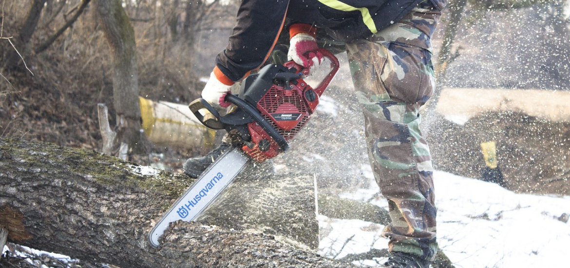 Best Chainsaws