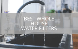 Best Whole House Water Filters