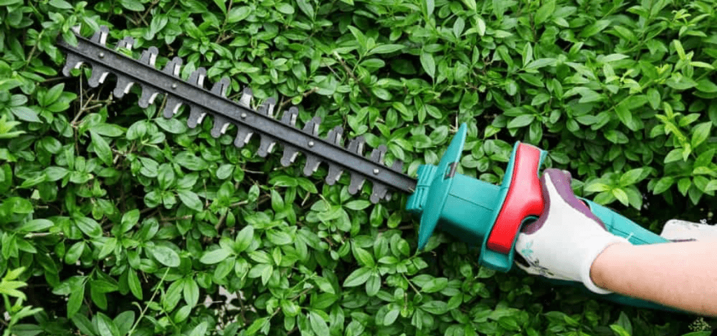 Header (4) best-cordless-battery-electric-hedge-trimmer-reviews