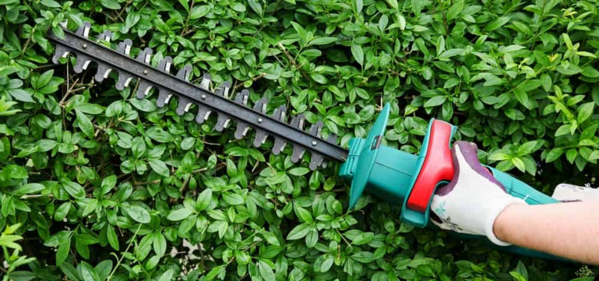 best-cordless-battery-electric-hedge-trimmer-reviews