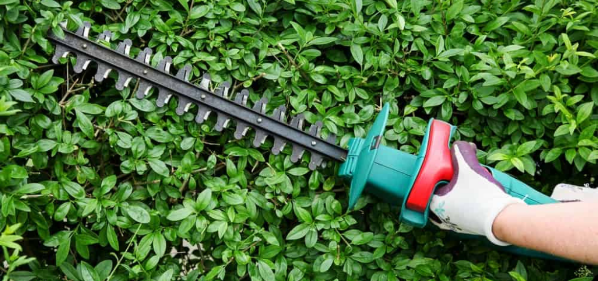 Best Cordless Electric Hedge Trimmer