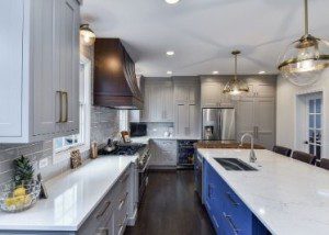 Mixed Modern Naperville Kitchen