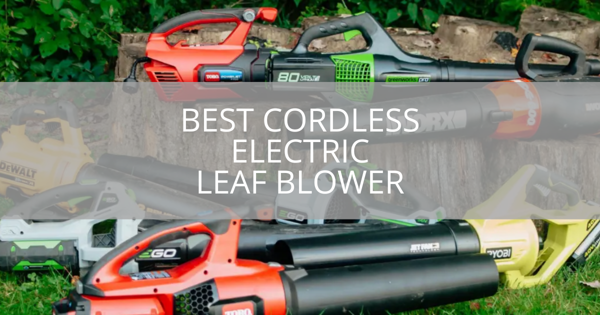 Best Cordless Electric Leaf Blower