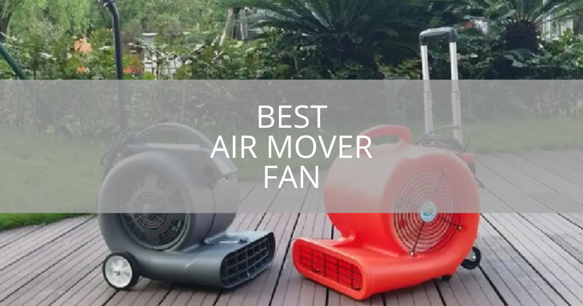 Best Air Mover Fan