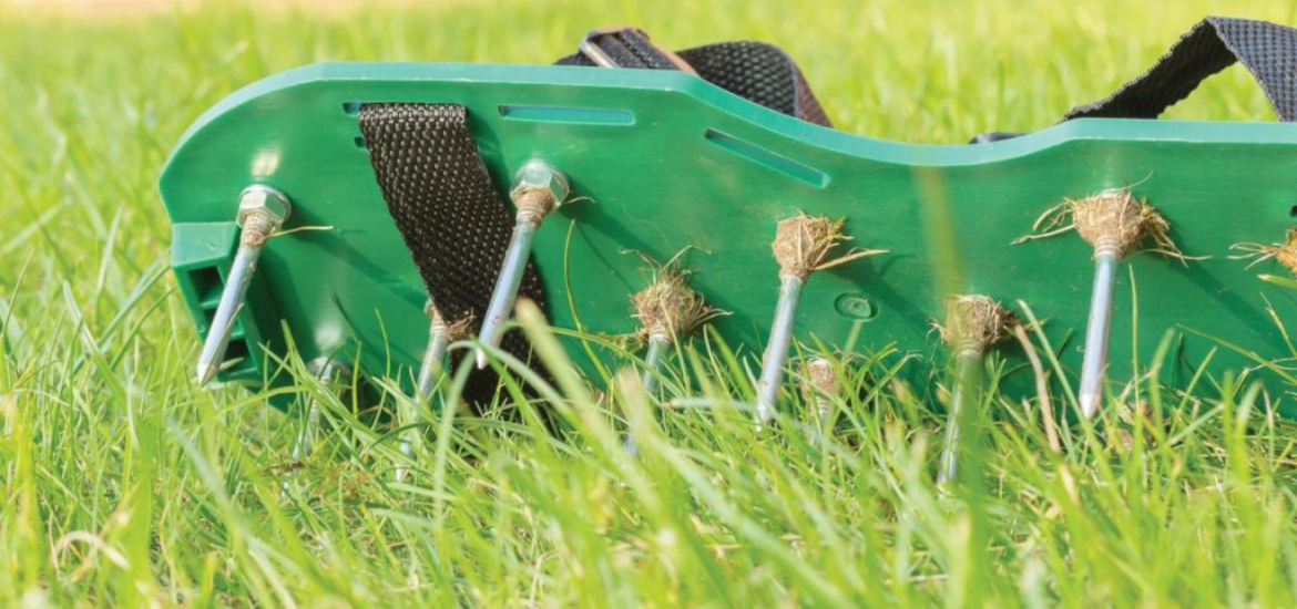 Best Lawn Aerators