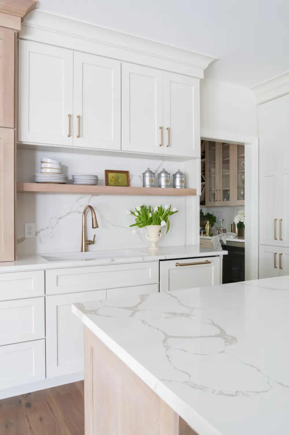 Clean and Elegant Kitchen