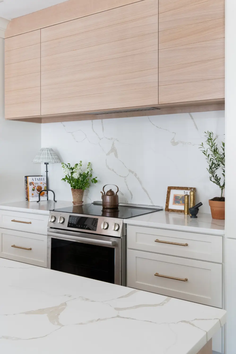 Clean and Elegant Kitchen