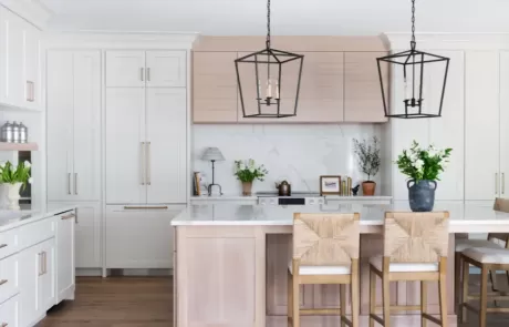 Clean and Elegant Kitchen